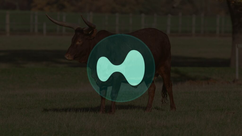 Hyperliquid’s Staking Launch and Grayscale Recognition: A Bullish Signal for HYPE